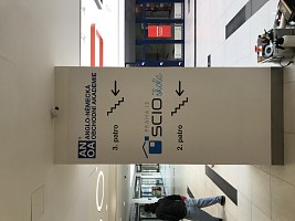 1019-IMG-2638-kopie.jpeg