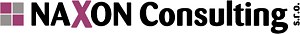 Naxon-Consulting-logo.jpeg